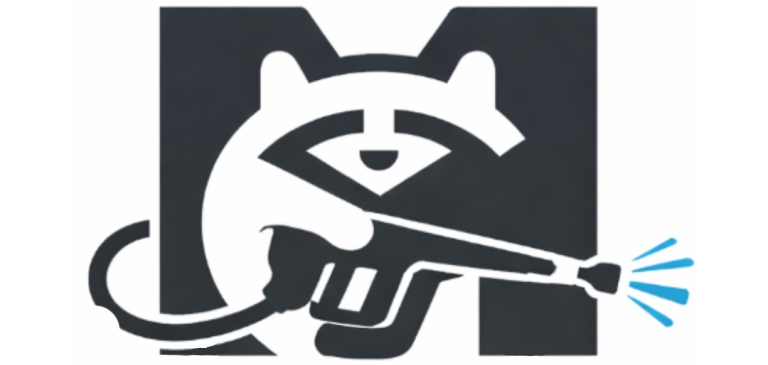Mapache Detailing